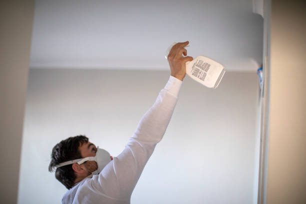 Professional Mold Remediation in Dalhart, TX