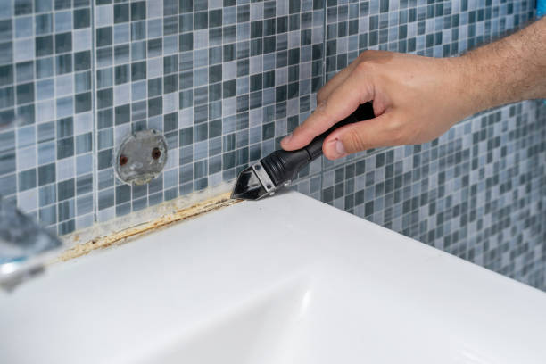 Best Bathroom Mold Remediation in Dalhart, TX