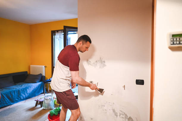 Best DIY Mold Remediation Support Services in Dalhart, TX